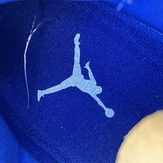 Air Jordan 11 Sneaker    CT8012-114 - PerfectKickZ