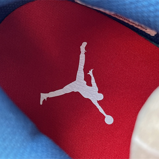 Nike Air Jordan Legacy 312 Low Sneaker    FV8117-141 - PerfectKickZ