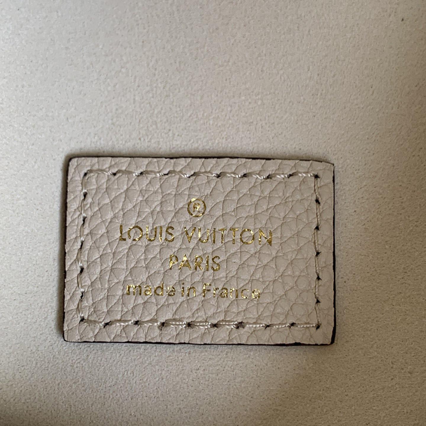 Louis Vuitton Loop Hobo          M46739 - PerfectKickZ