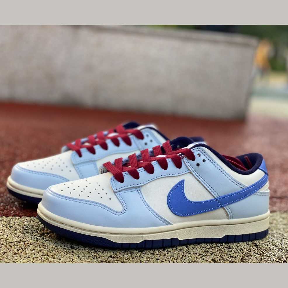 Nike Dunk Low  Sneakers     FV8113-141 - PerfectKickZ