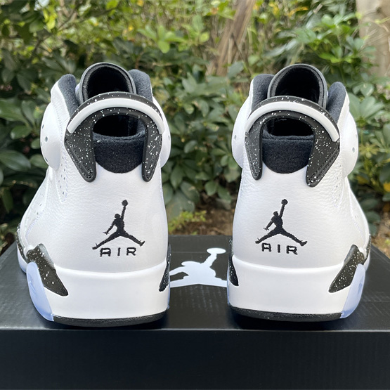 Air Jordan 6 “Reverse Oreo” Sneaker         CT8529-112 - PerfectKickZ