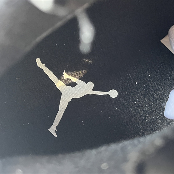 Air Jordan 6 “Reverse Oreo” Sneaker         CT8529-112 - PerfectKickZ