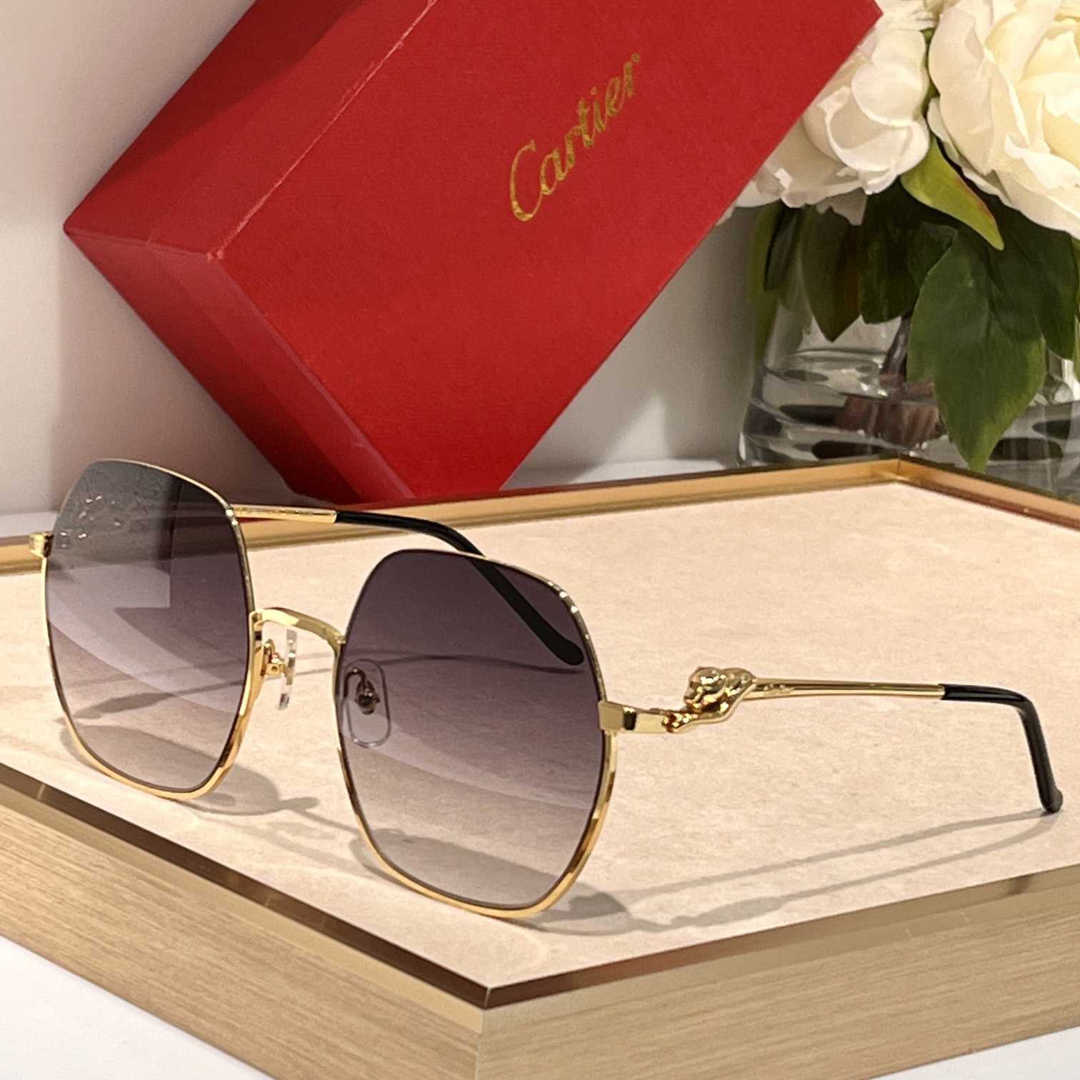 Cartier Geometric Frame Sunglasses     CT0267 - PerfectKickZ
