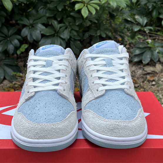 Nike Dunk Low Blue Sneaker      FZ3779-025 - 