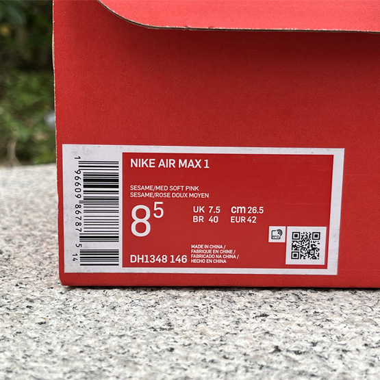 Nike Air Max 1 Sneaker    DH1348-146 - PerfectKickZ