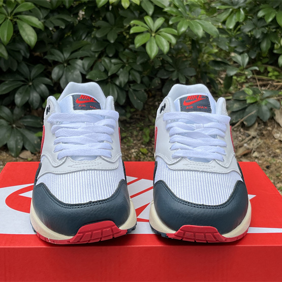 Nike Air Max 1 Sneaker    DH1348-146 - PerfectKickZ