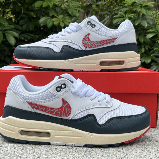 Nike Air Max 1 Sneaker    DH1348-146 - PerfectKickZ