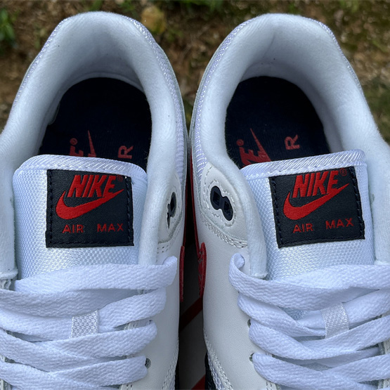 Nike Air Max 1 Sneaker    DH1348-146 - PerfectKickZ