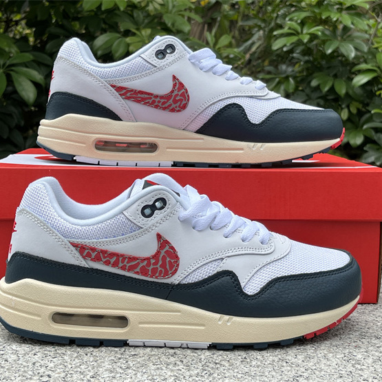 Nike Air Max 1 Sneaker    DH1348-146 - PerfectKickZ