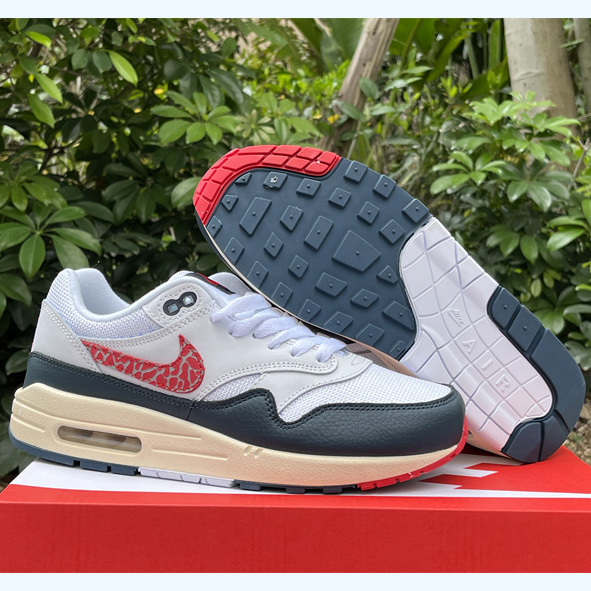 Nike Air Max 1 Sneaker    DH1348-146 - PerfectKickZ