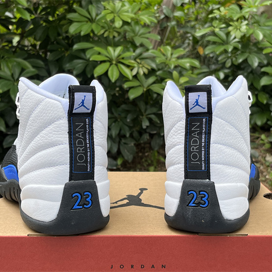Air Jordan 12 Sneaker      CT8013-140 - PerfectKickZ