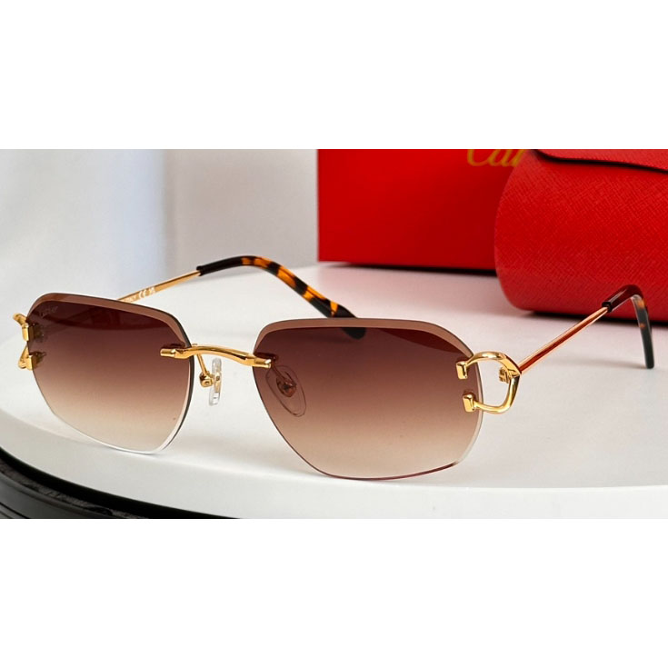 Cartier Sunglasses - PerfectKickZ