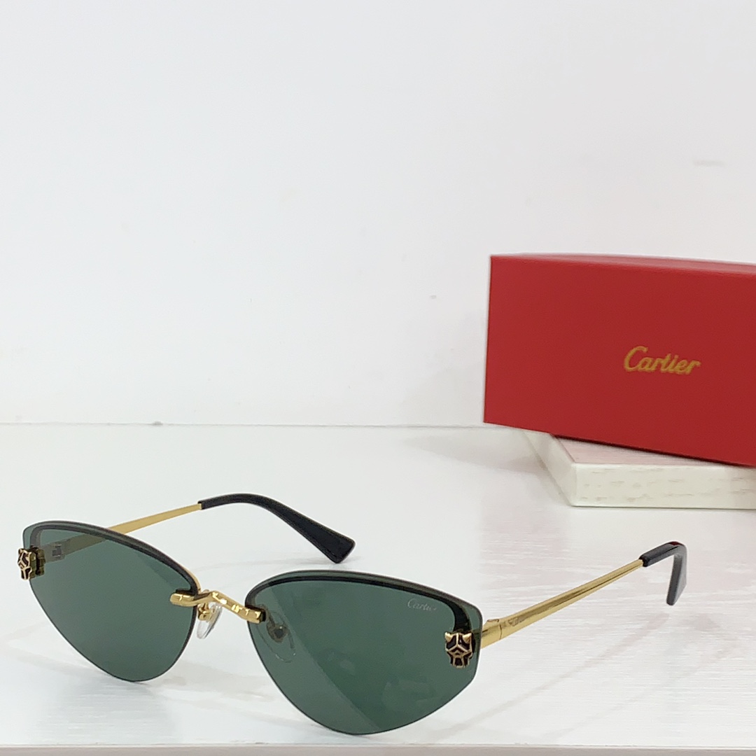 Cartier CT0431S Sunglasses - PerfectKickZ