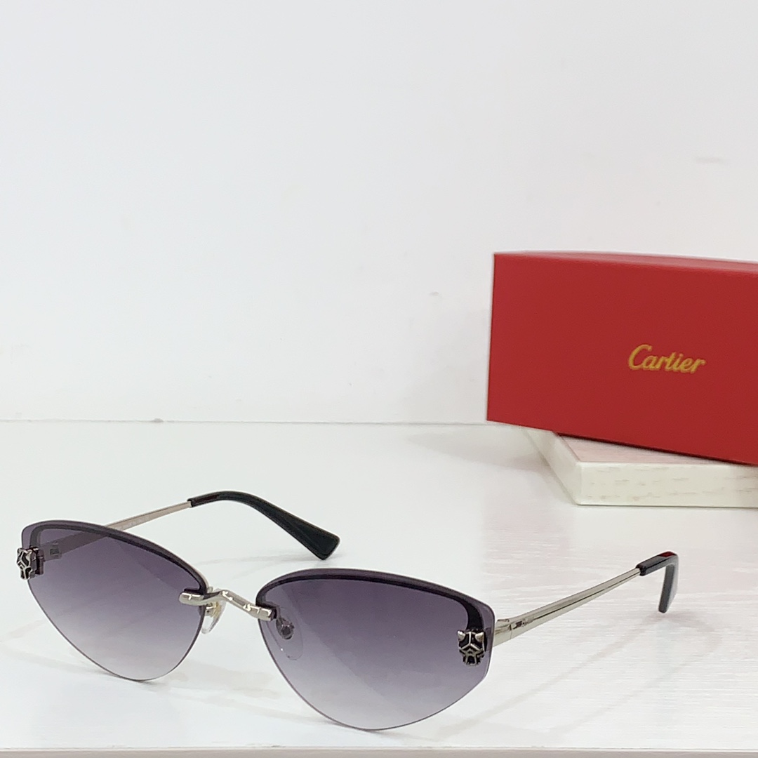 Cartier CT0431S Sunglasses - PerfectKickZ