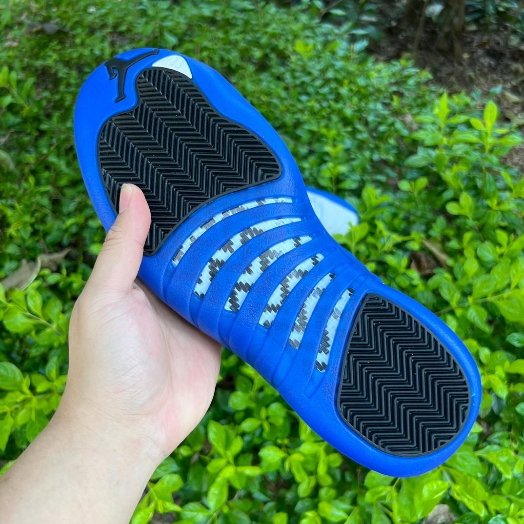 Air Jordan 12 “Blueberry” Sneaker      CT8013-140 - PerfectKickZ