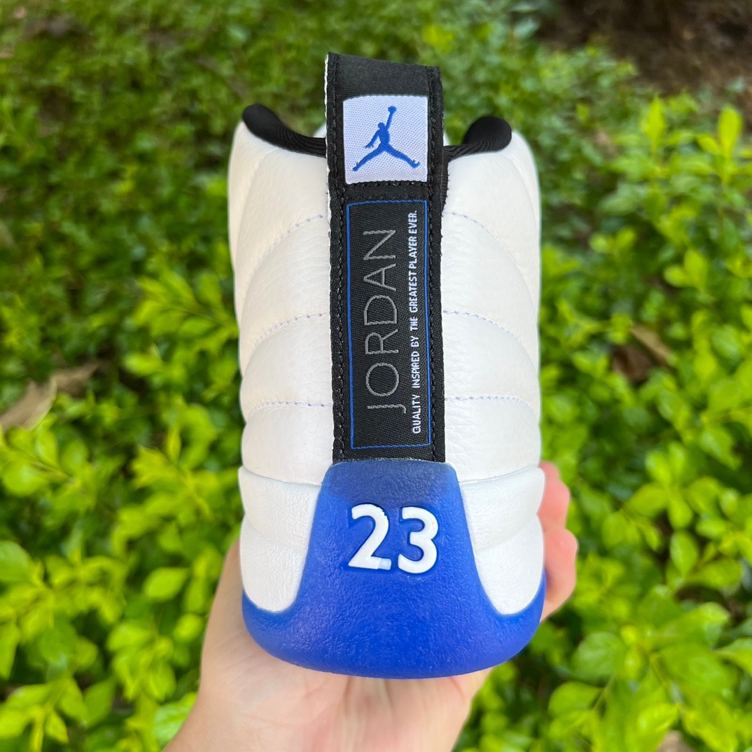 Air Jordan 12 “Blueberry” Sneaker      CT8013-140 - PerfectKickZ