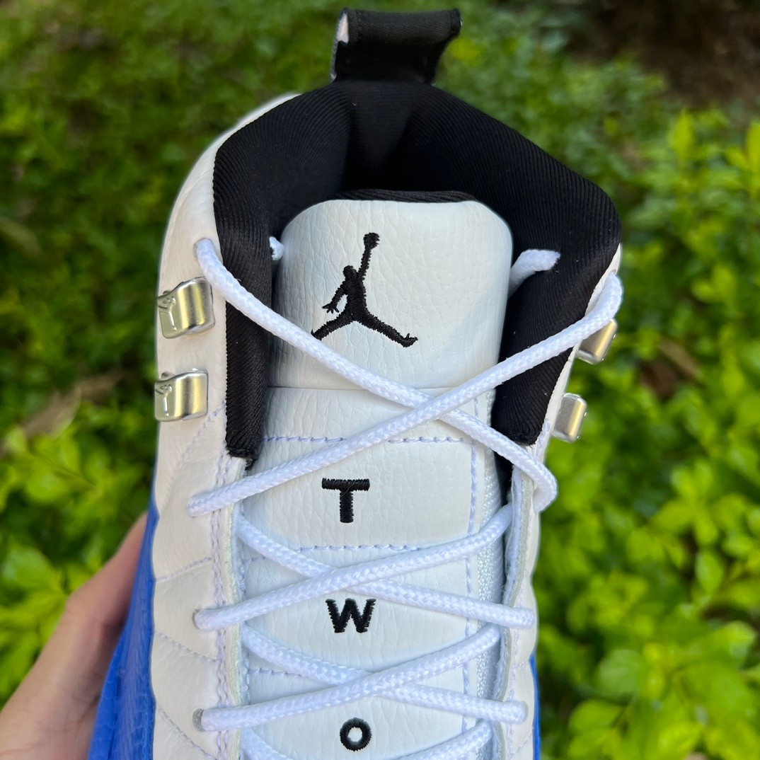 Air Jordan 12 “Blueberry” Sneaker      CT8013-140 - PerfectKickZ