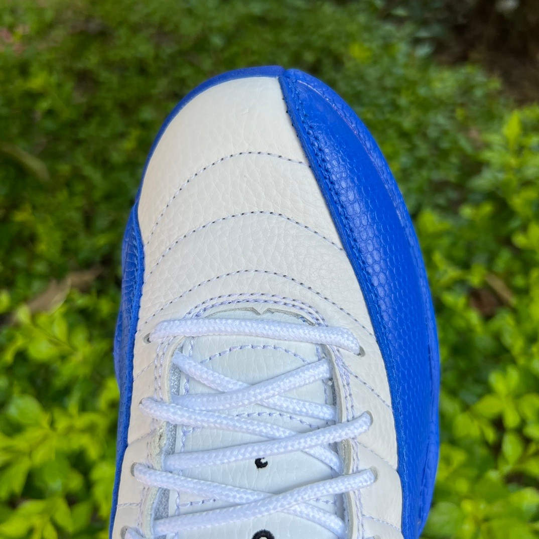 Air Jordan 12 “Blueberry” Sneaker      CT8013-140 - PerfectKickZ