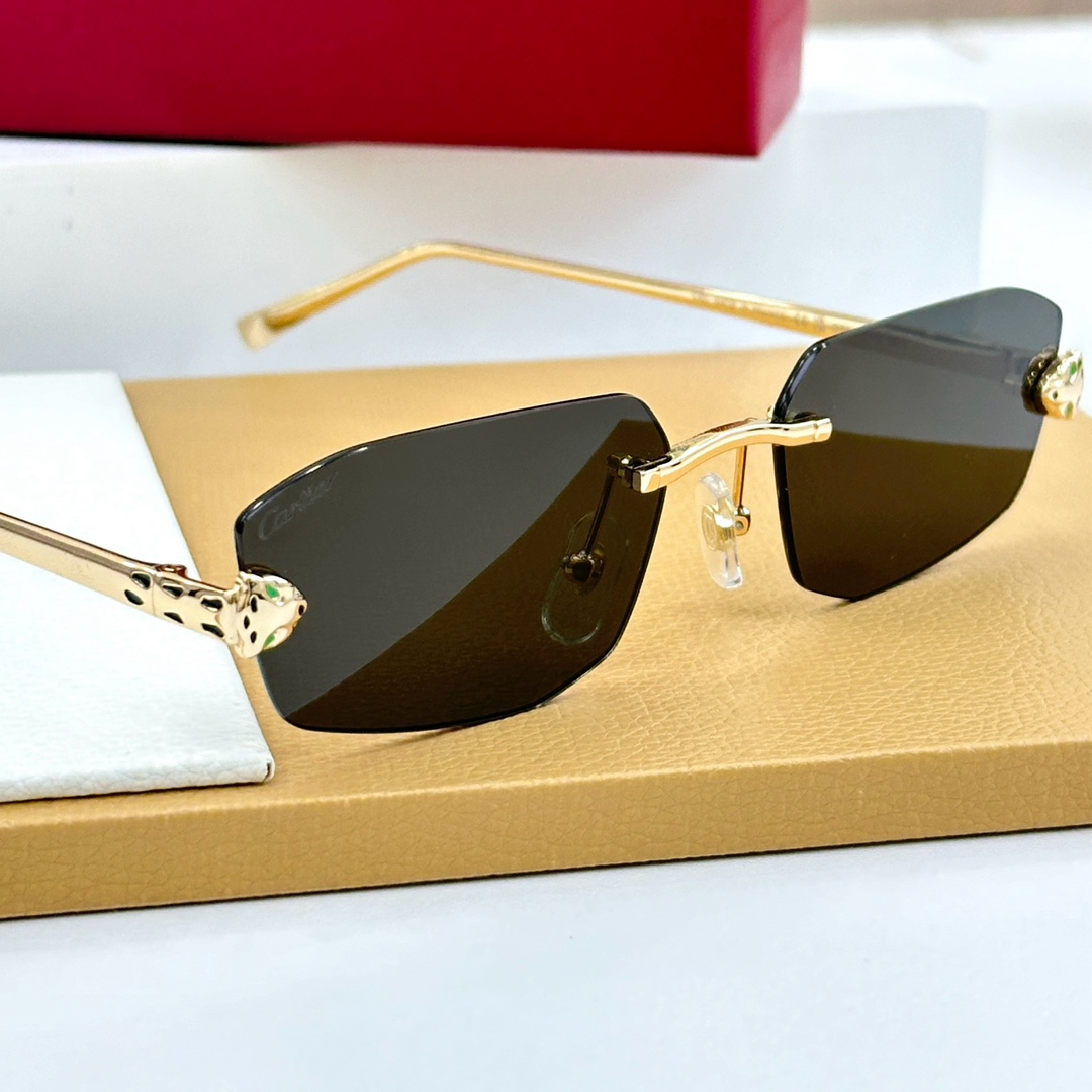 Cartier Geometric Frame Sunglasses   CT0474S  - PerfectKickZ