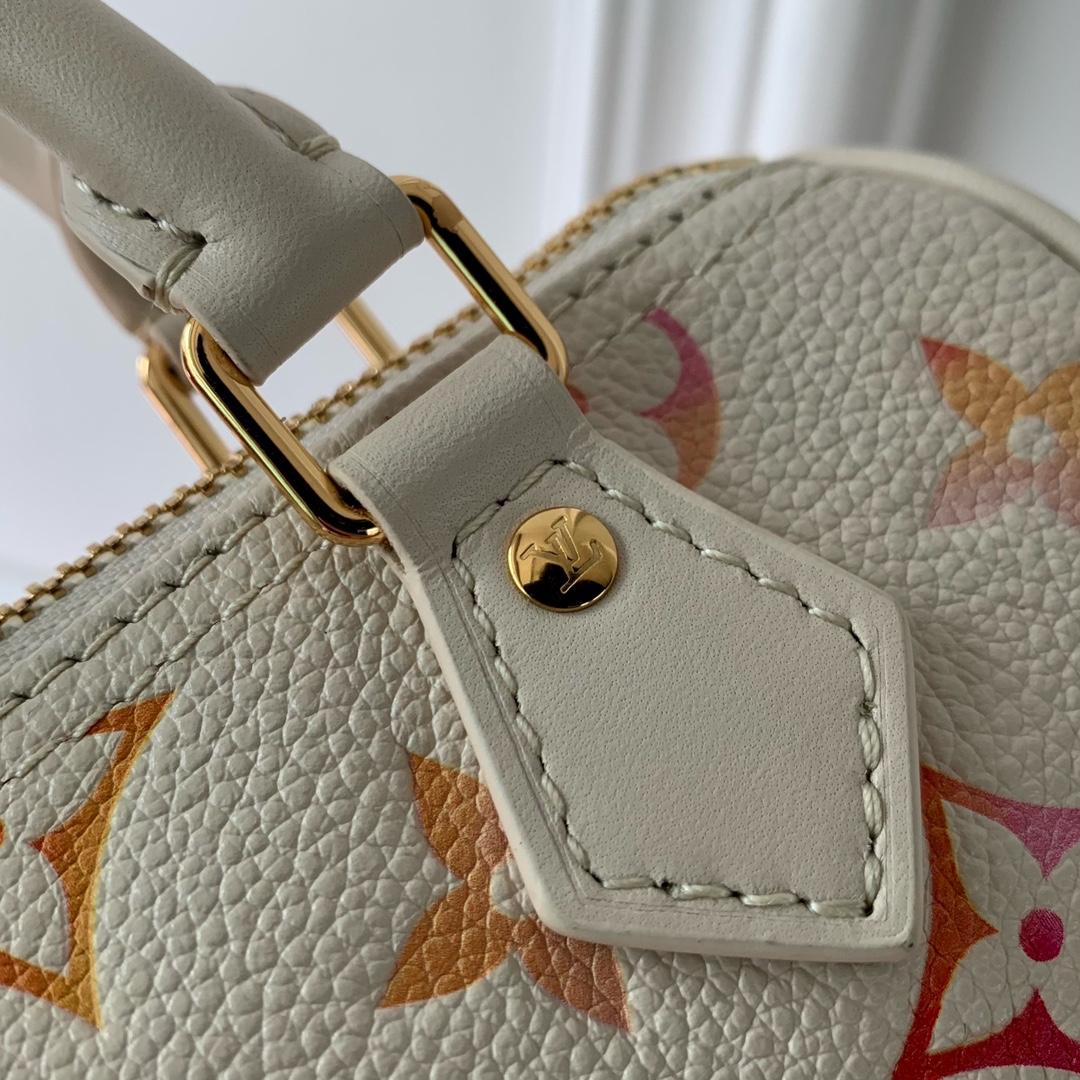 Louis Vuitton Nano Speedy   M83452 - PerfectKickZ