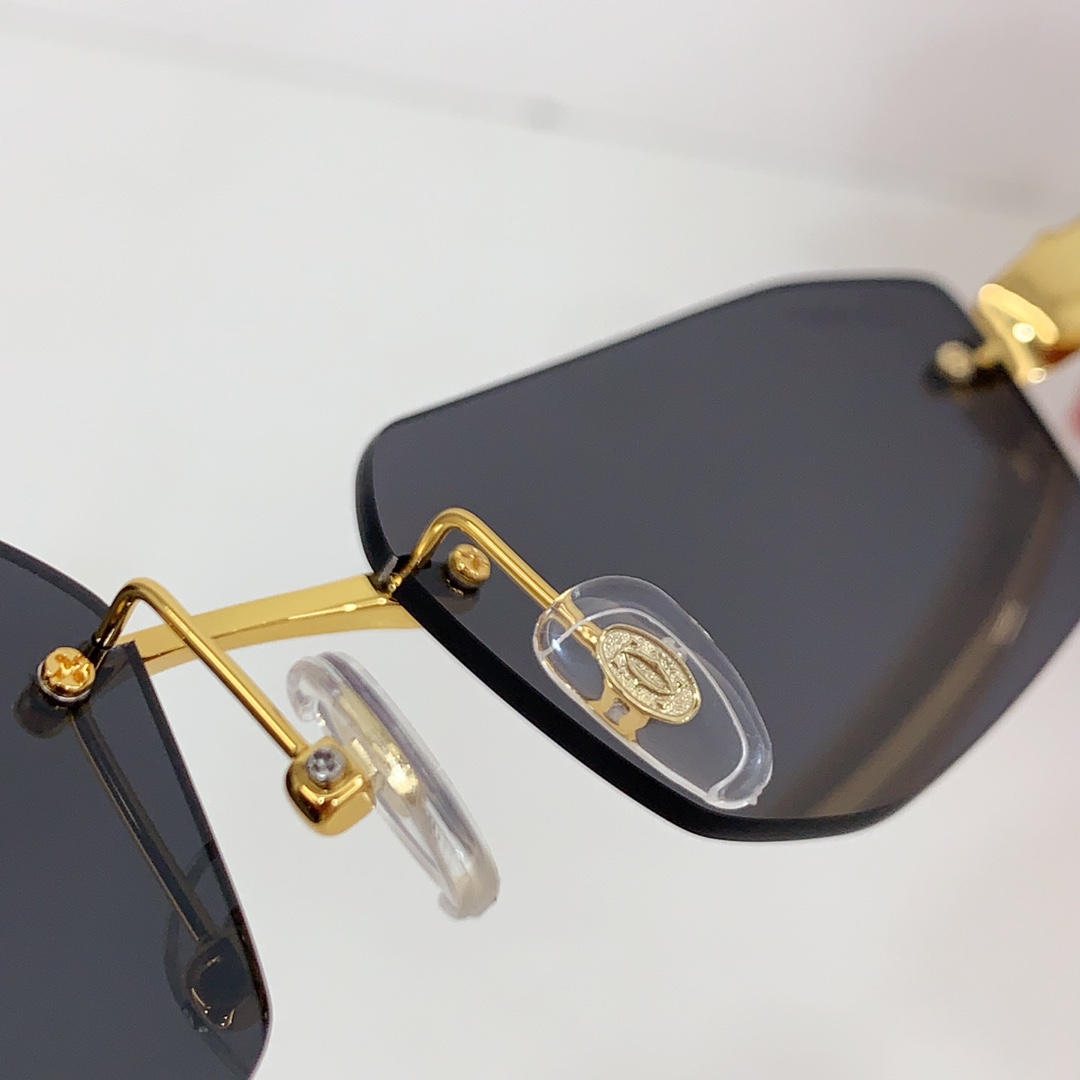 Cartier Geometric-frame Sunglasses   CT0474S - PerfectKickZ