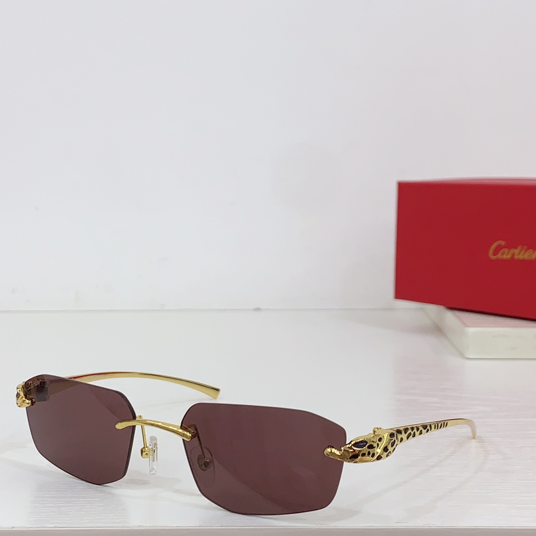 Cartier Geometric-frame Sunglasses   CT0474S - PerfectKickZ