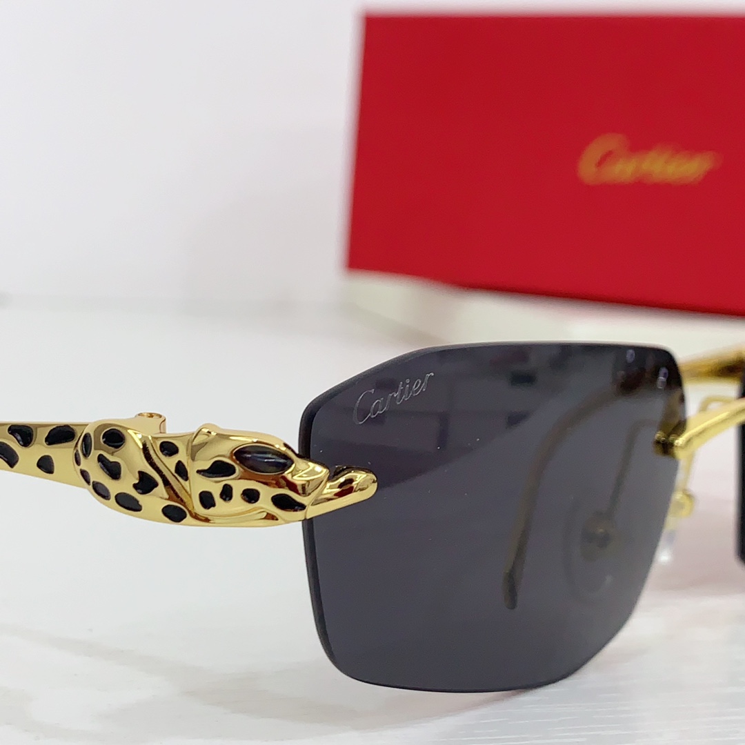 Cartier Geometric-frame Sunglasses   CT0474S - PerfectKickZ