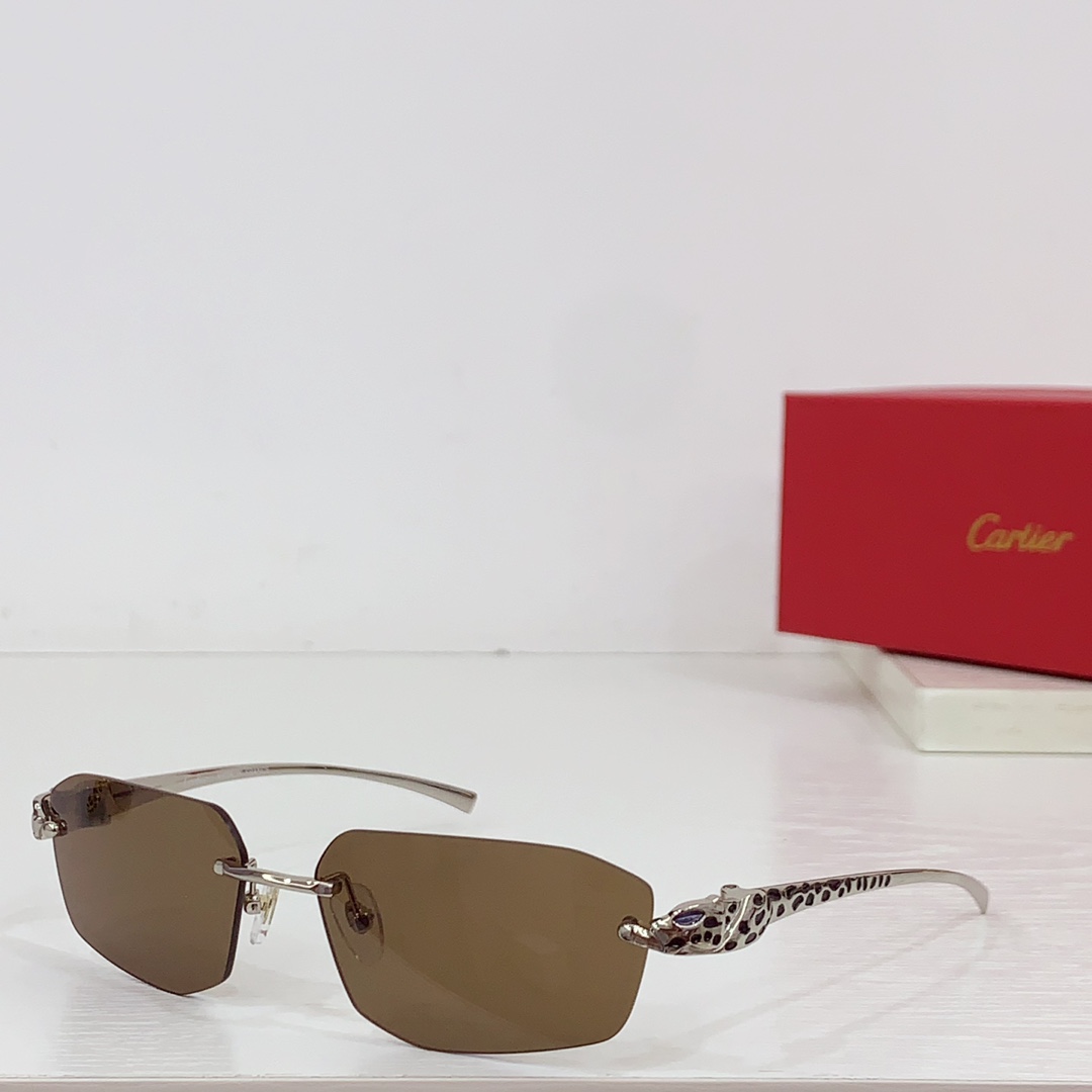Cartier Geometric-frame Sunglasses   CT0474S - PerfectKickZ