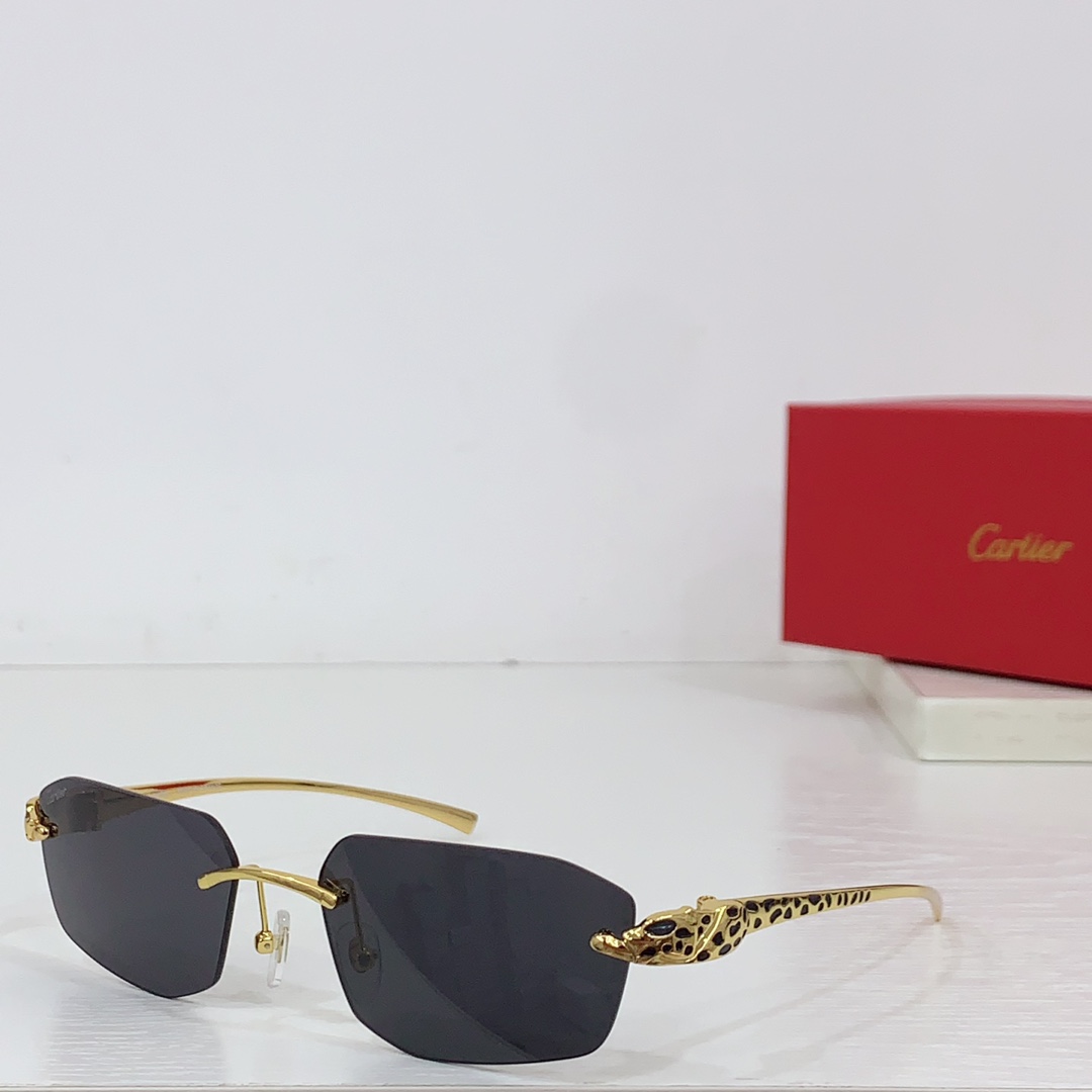 Cartier Geometric-frame Sunglasses   CT0474S - PerfectKickZ