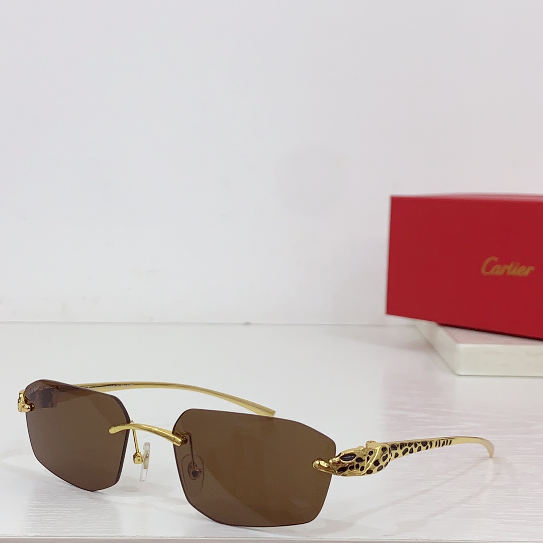 Cartier Geometric-frame Sunglasses   CT0474S - PerfectKickZ