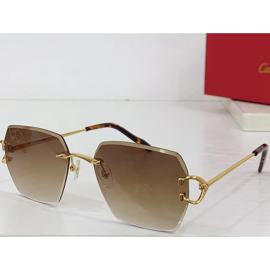 Cartier Sunglasses - PerfectKickZ
