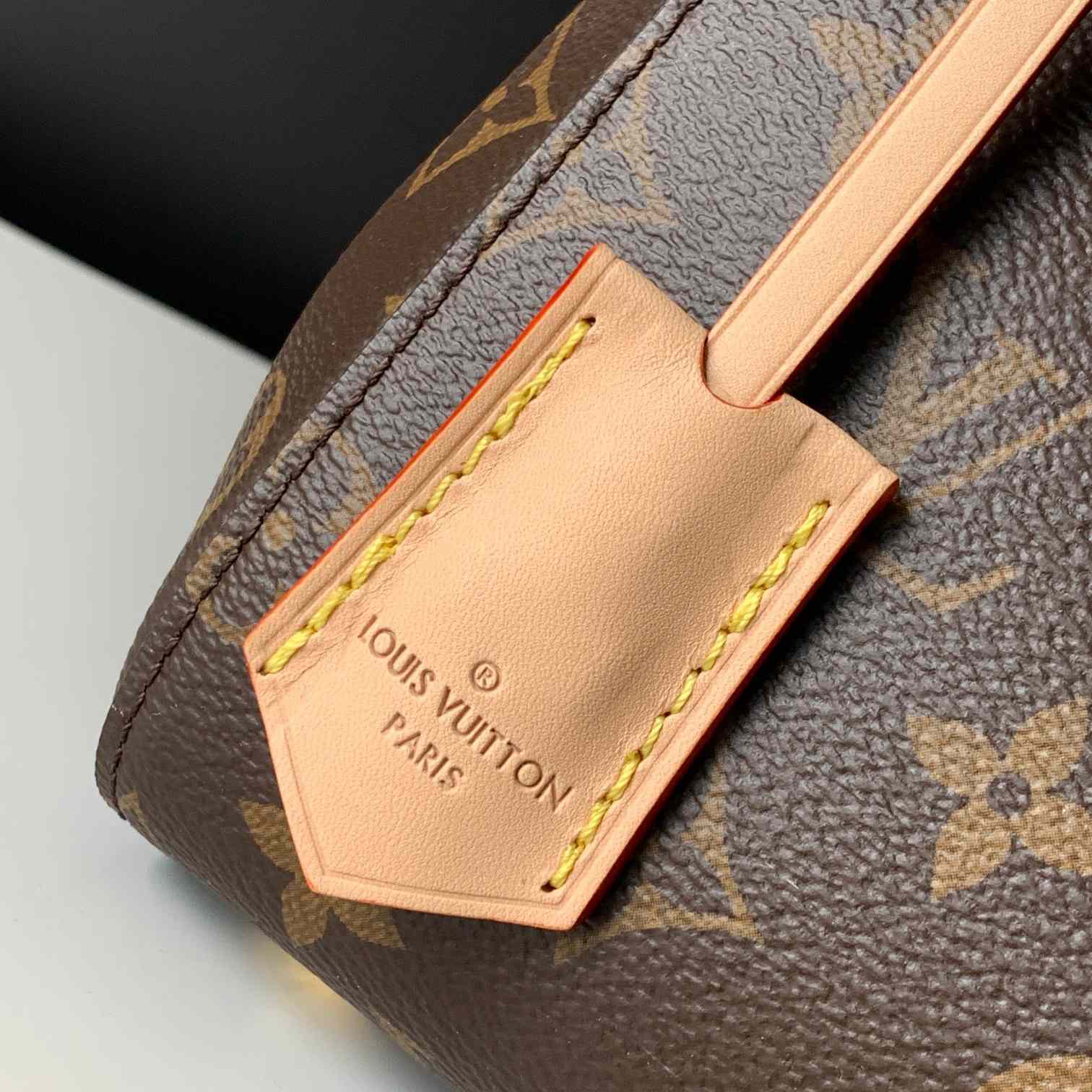 Louis Vuitton Cluny BB  M46372 - PerfectKickZ