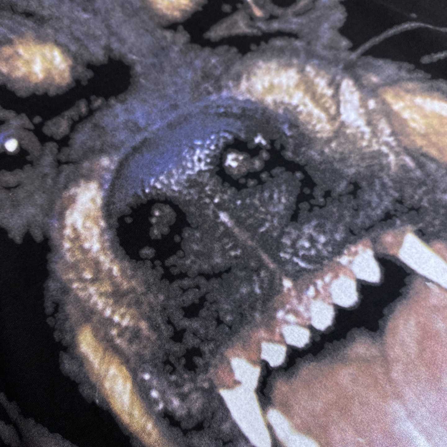 Givenchy Rottweiler Cotton Tee - PerfectKickZ