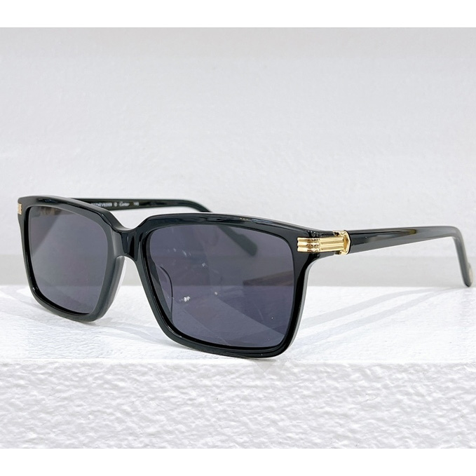 Cartier Sunglasses - PerfectKickZ