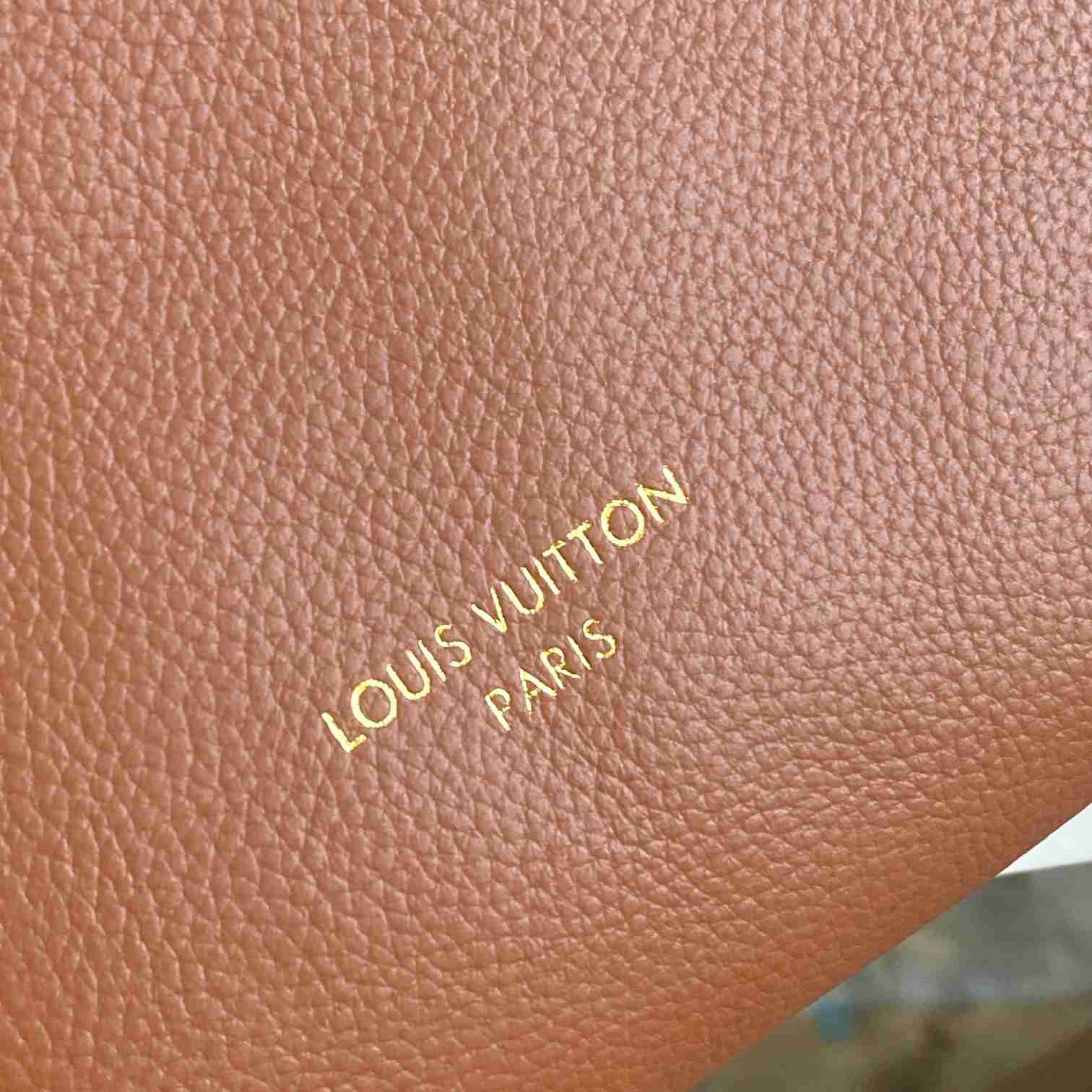 Louis Vuitton Low Key Hobo PM   M25352 - PerfectKickZ