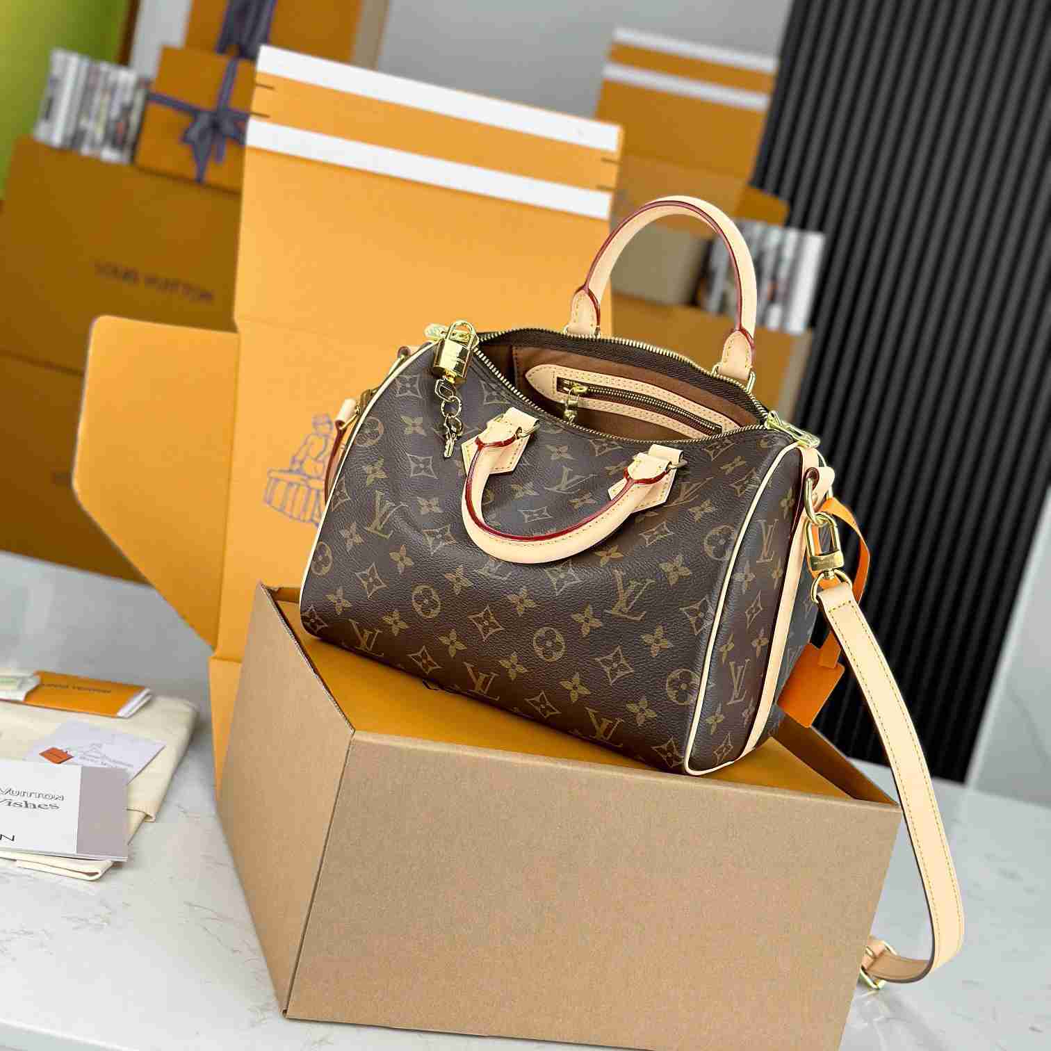 Louis Vuitton Speedy 25  M41113 - PerfectKickZ