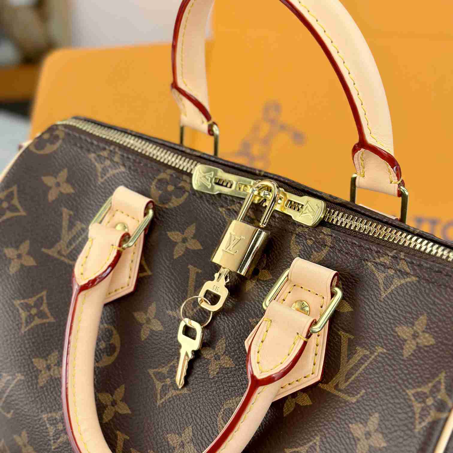 Louis Vuitton Speedy 25  M41113 - PerfectKickZ
