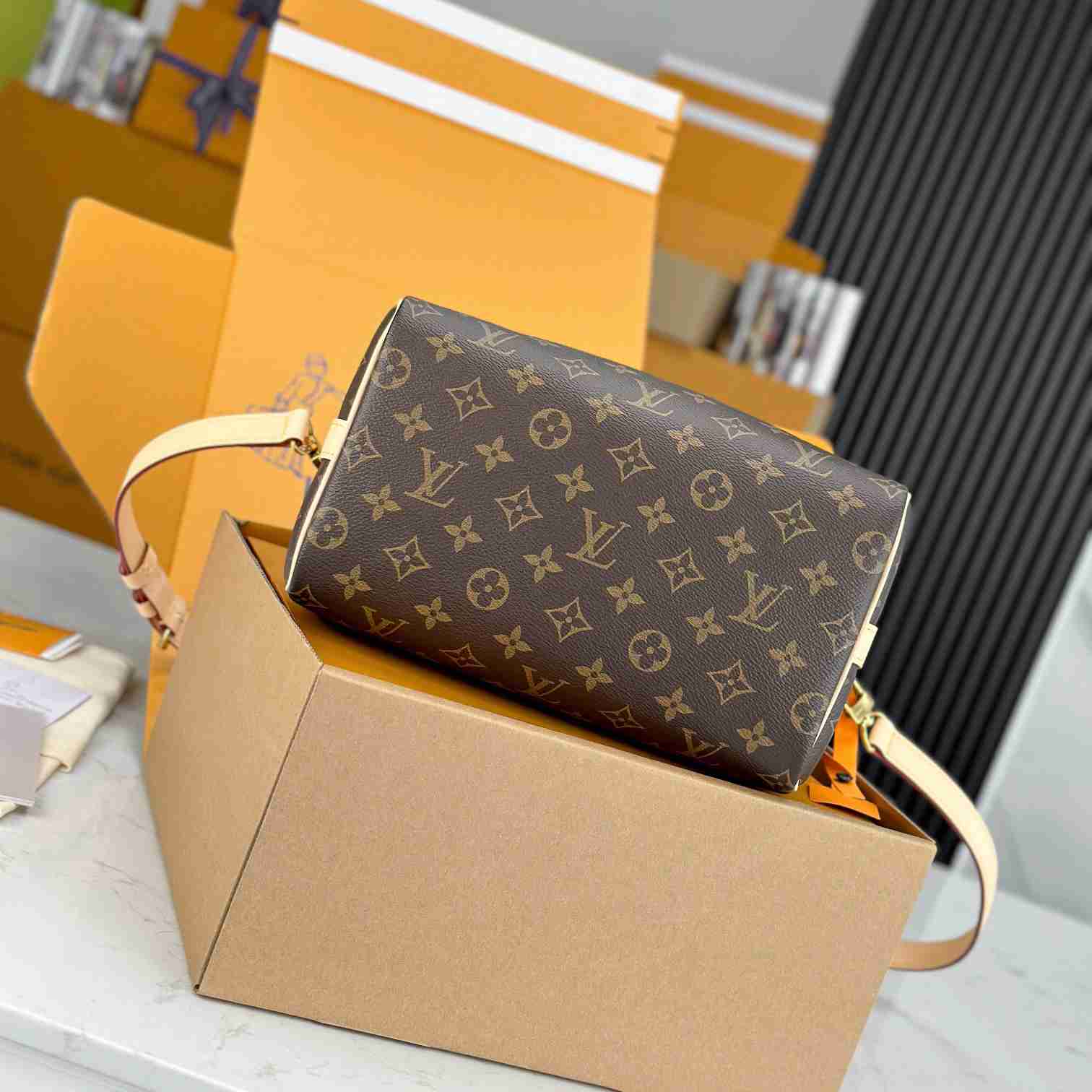 Louis Vuitton Speedy 25  M41113 - PerfectKickZ