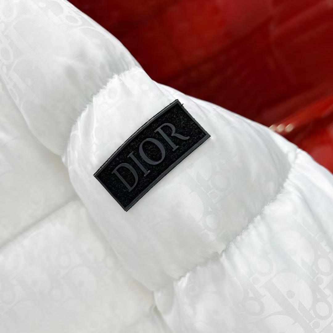 Dior Oblique Down Jacket  - 