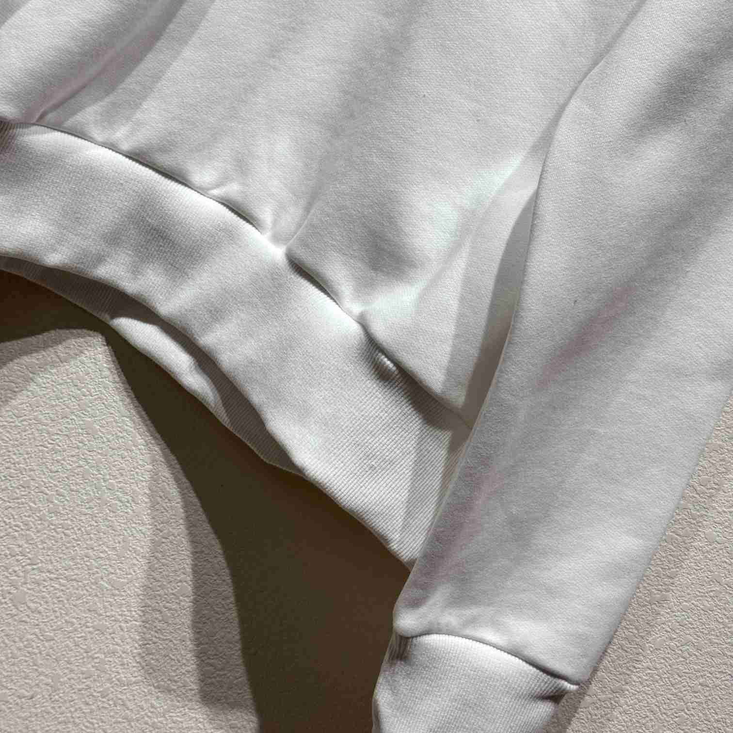 Dior And Lewis Hamilton Sweatshirt - PerfectKickZ