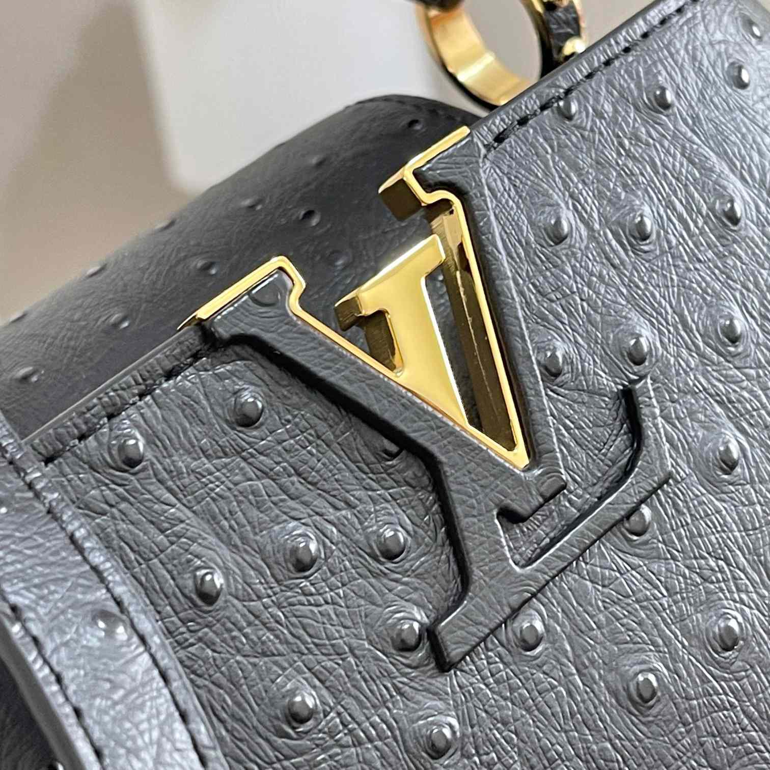 Louis Vuitton Capucines (21*14*8cm)   M48865 - PerfectKickZ