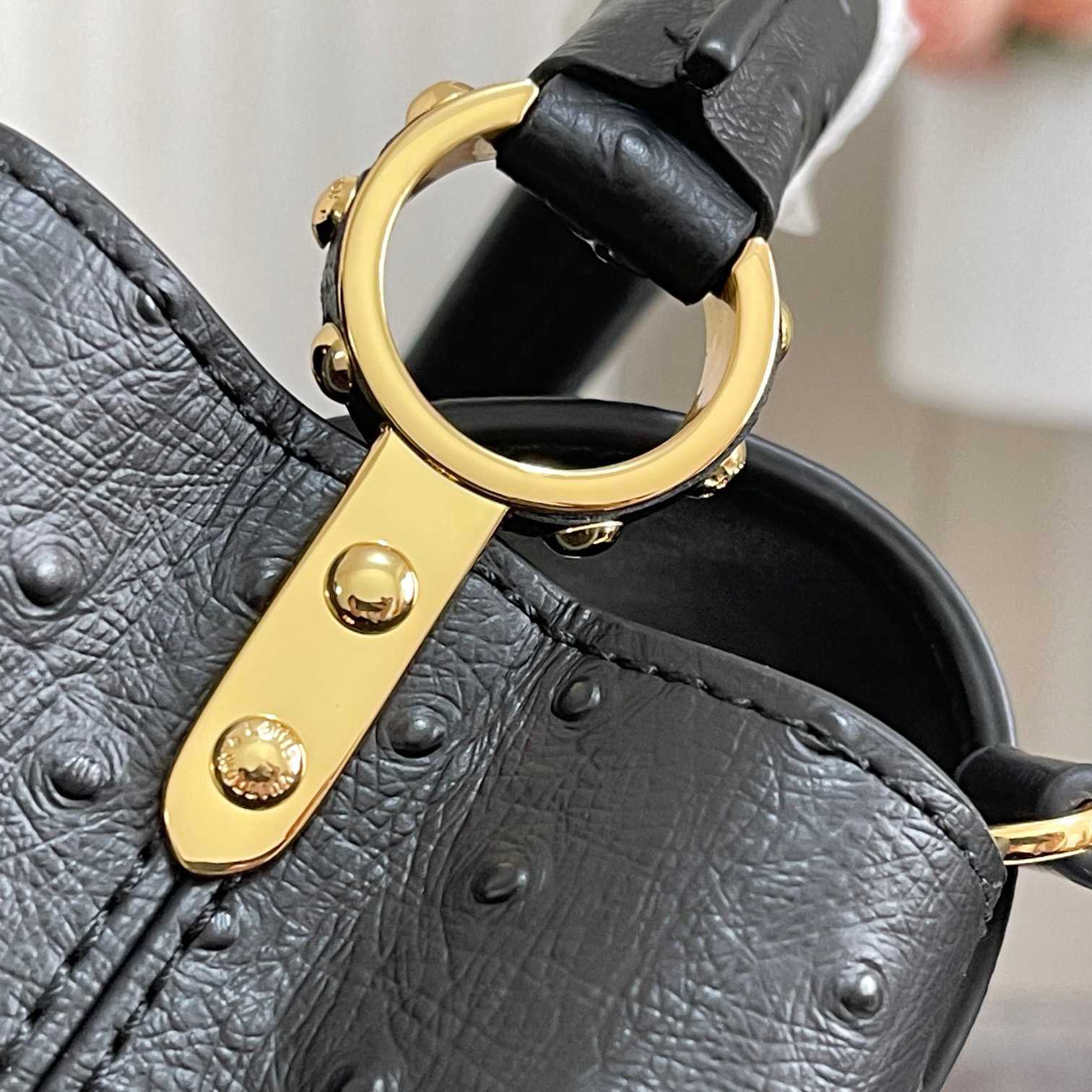 Louis Vuitton Capucines (21*14*8cm)   M48865 - PerfectKickZ
