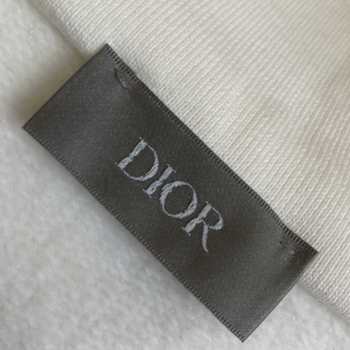 Dior CD Icon Half-Zip Sweatshirt   - PerfectKickZ