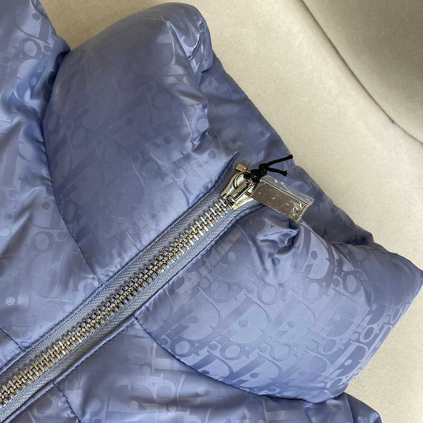 Dior Oblique Down Jacket - PerfectKickZ