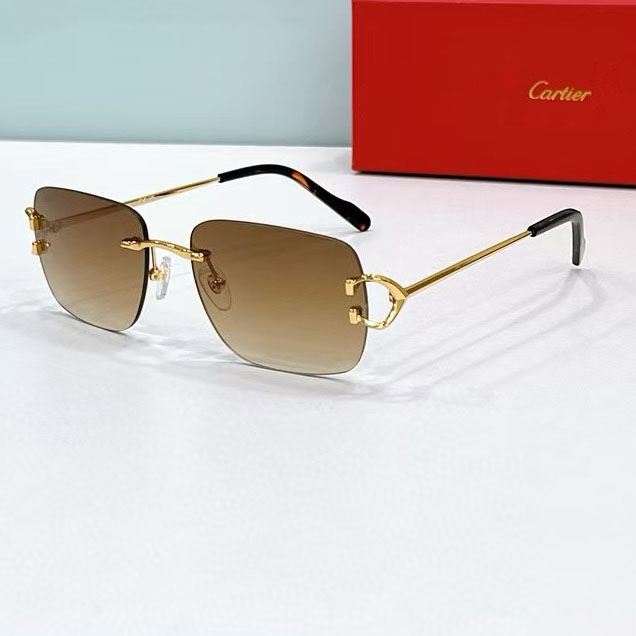 Cartier Sunglasses  - PerfectKickZ