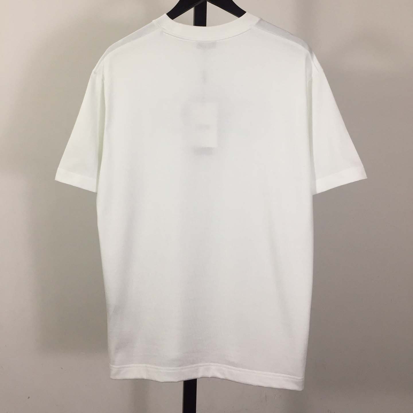 Dior Stone Island T-shirt - PerfectKickZ