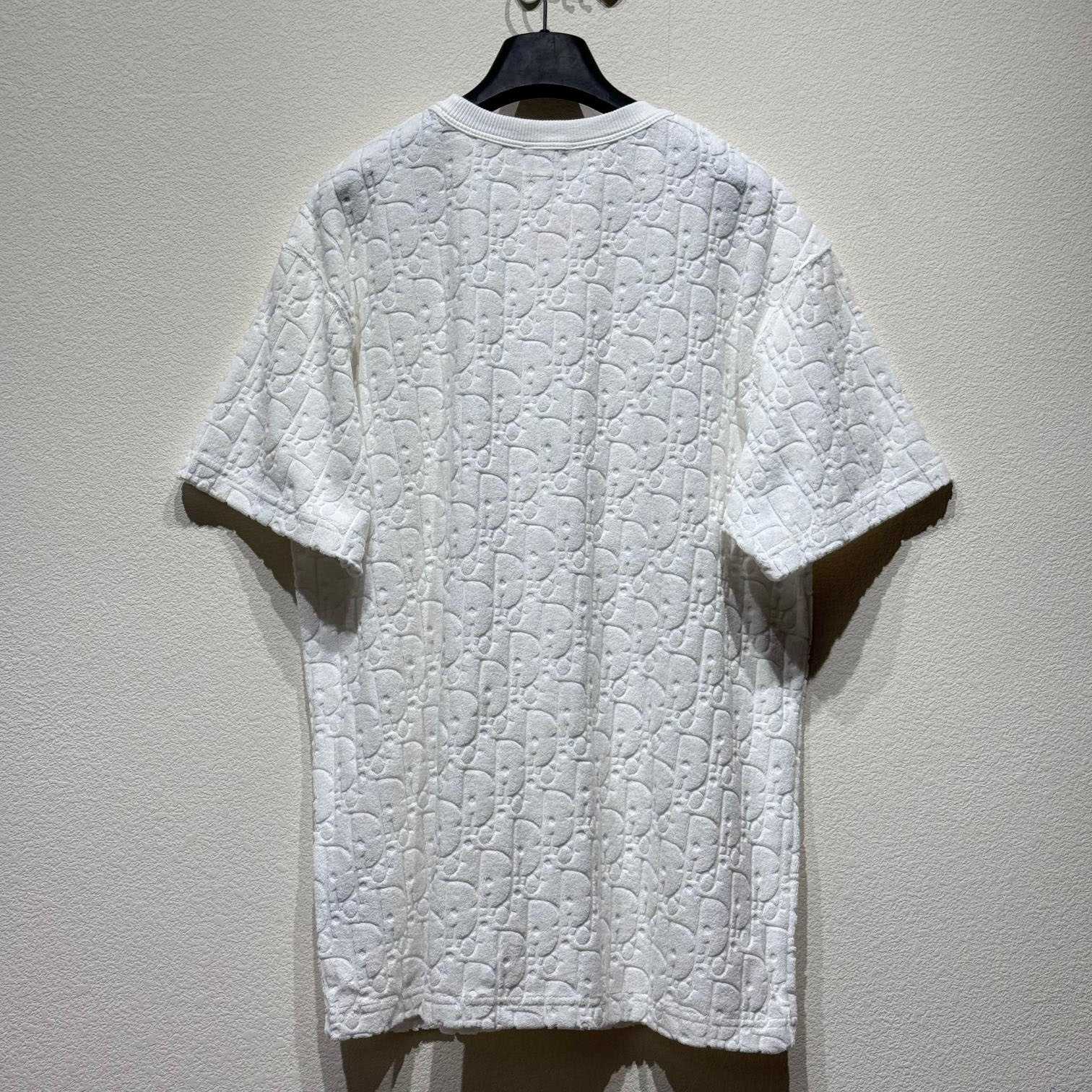 Dior Oblique T-Shirt, - PerfectKickZ