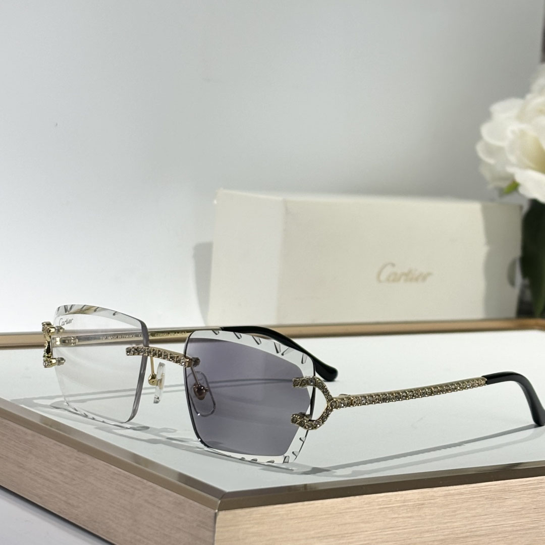 Cartier CT0662S Sunglasses    - PerfectKickZ