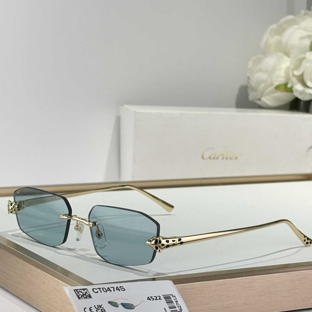 Cartier CT0474S Sunglasses    - PerfectKickZ