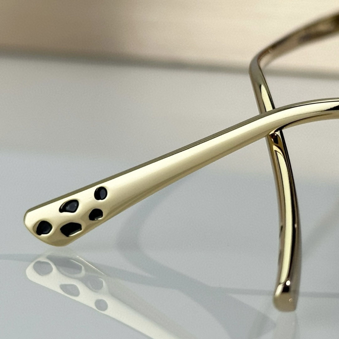 Cartier CT0474S Sunglasses    - PerfectKickZ